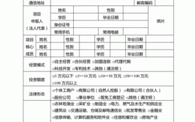 如何撰写青少年创业项目的推荐理由，简洁明了指南