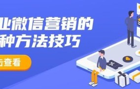 微信圈营销怎么做？有哪些实用技巧？