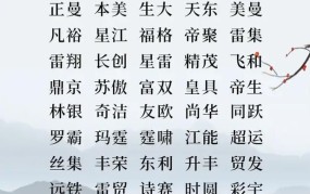 电商公司名字取名有什么技巧？如何取一个响亮的名字？