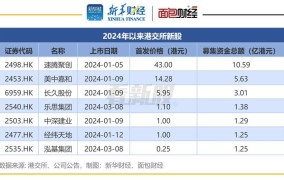 IPO的梦想之旅：2024年，你的创业公司将如何上市？