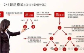 电商公司7人团队利润如何？盈利模式揭秘