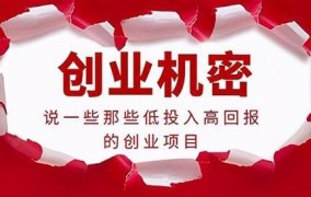 加盟创业小投资项目排名第一的是哪个