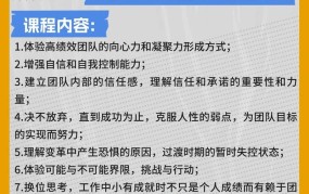 创业项目如何进行有效的团队建设活动？