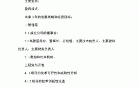 创业项目计划书团队管理怎么写的好一点