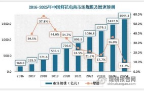 汉聪电商怎么样？品牌实力与市场前景分析