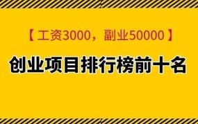 最新创业项目排行榜前十名项目有哪些