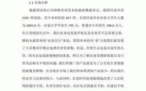 创业互联网项目概述200字怎么写