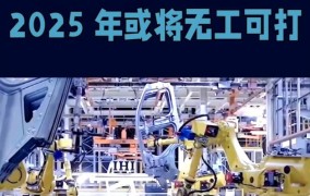 在2025年，体育行业的创业项目会有哪些新机遇？