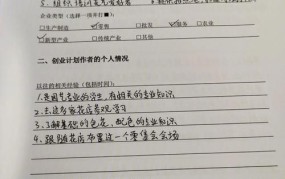 创业小项目大学生作业怎么写