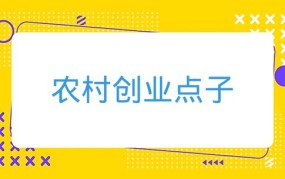 农村地区创业有哪些好点子？需要注意哪些风险？