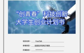 大学生创新创业项目是什么级别的