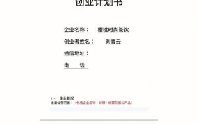 创新创业计划书1500字大学生琉璃陶瓷