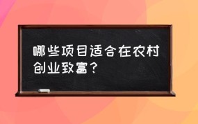 2024农村创业致富项目推荐？哪些项目更适合农村市场？