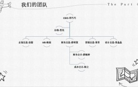 创业团队角色分工有哪些关键点？如何高效协作？