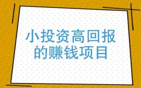 2024创业好项目投资小利润大有哪些？如何寻找？