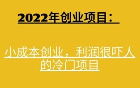 10个冷门创业项目，哪个更有市场前景？