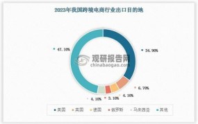 垂直电商发展前景与挑战是什么？