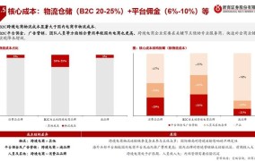 电商时代到来，如何把握市场机遇与挑战？