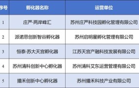 创业者的梦工厂：2024年孵化器与加速器哪家强？