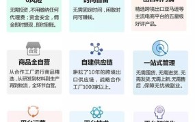 为什么说2025年是社交电商创业的好时机？需要注意什么？