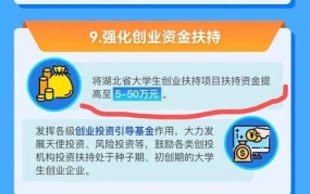 大学生创业扶持政策如何申请？创业项目有哪些风险需警惕？