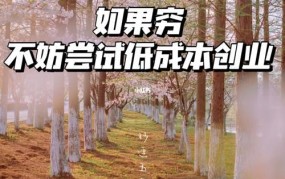 5万元创业能做什么？有哪些低成本的创业项目？