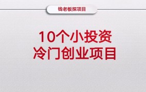 投资不超过20万的创业好项目有哪些？