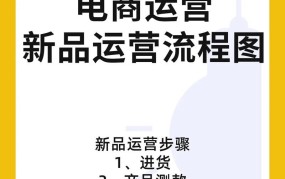 电商运营方案怎么做？揭秘成功运营秘诀