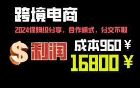 做跨境电商需要投入哪些费用？如何降低成本？