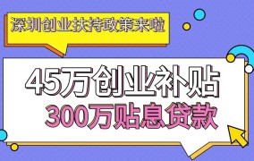 初创企业在创业平台上能享受哪些政策扶持和创业指导？