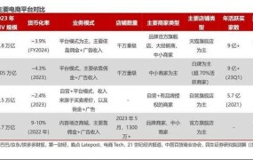 电商平台收入来源解析，揭秘赚钱之道