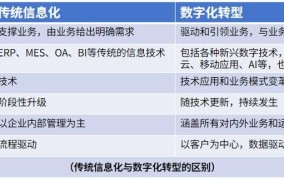 数字化转型的浪潮：2024年，你的企业如何乘风破浪？