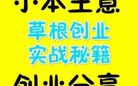 小生意创业项目网站有哪些平台可以做