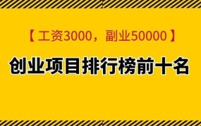 夫妻创业项目排行榜前十名有哪些？如何实现稳定盈利？