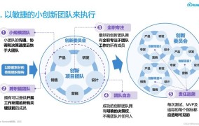 创业项目如何快速迭代和优化？