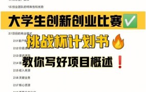 大学生互联网创新创业项目有哪些内容呢英语