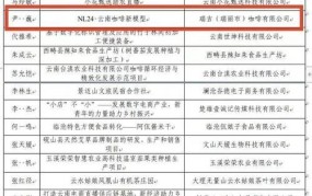 2024创业项目排行榜揭晓，哪些小本项目值得关注？