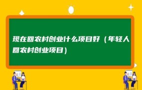 目前农村创业什么项目最赚钱1了10万