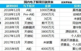 实体创业项目排行榜前十名有哪些公司