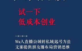 如何在创业小项目中实施成本领先战略？有哪些技巧？